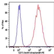 MAB0897 - CD71 / TFRC