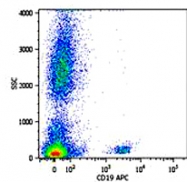 MAB0921 - CD19