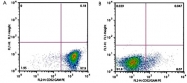 MAB0944 - CD52 / CAMPATH-1