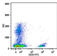 MAB0964 - CD20