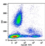 MAB0978 - HLA Class II DR