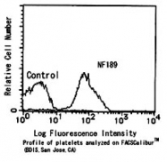 MAB1709 - CD36