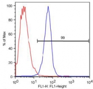 MAB2419 - ABCA1
