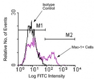 MAB3223 - CD11b