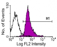 MAB3225 - CD18 / ITGB2