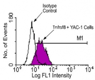 MAB3229 - CD30
