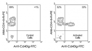 MAB3231 - CD154 / CD40L