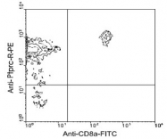 MAB3233 - CD45 / LCA
