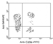 MAB3235 - CD62L / L-Selectin