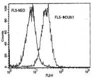 MAB3283 - Bcl-2-like 1