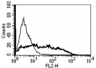 MAB3374 - CD269 / BCMA