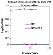 MAB3412 - CD117 / c-kit