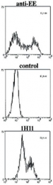 MAB3427 - Caspase-1