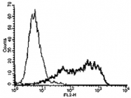 MAB3436 - TNFRSF21 / Death receptor 6 (DR6)