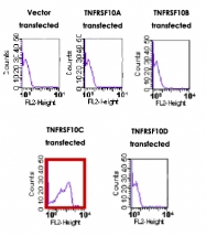 MAB3479 - CD263 / TRAILR3