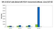 MAB3611 - PSMA / FOLH1