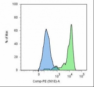 MAB3611 - PSMA / FOLH1