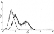 MAB3729 - CD267 / TACI