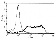 MAB3730 - CD267 / TACI