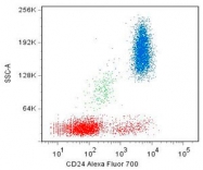 MAB3832 - CD24