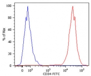 MAB3835 - CD34