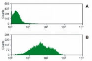 MAB3839 - CD47