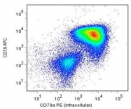 MAB3843 - CD79a