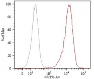 MAB3850 - CD105 / Endoglin