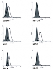 MAB3877 - TNFRSF21 / Death receptor 6 (DR6)