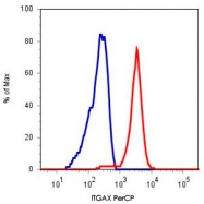 MAB4353 - CD11c