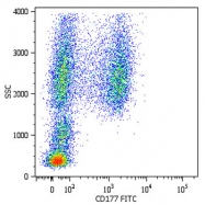 MAB4365 - CD177