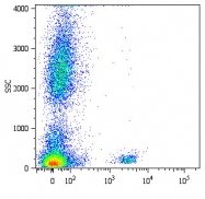 MAB4369 - CD19