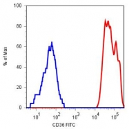 MAB4415 - CD36