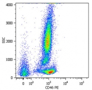 MAB4442 - CD46 / MCP