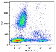 MAB4478 - HLA Class II DR
