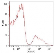 MAB4495 - Human IgM