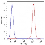 MAB4532 - CD15