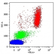 MAB4544 - CD16b