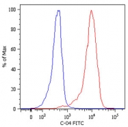 MAB4565 - Cytokeratin 18