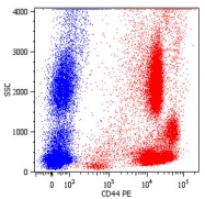 MAB4571 - CD44