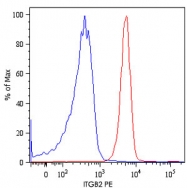 MAB4599 - CD18 / ITGB2