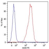 MAB4606 - CD10 / Neprilysin