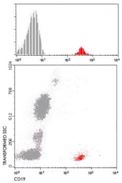 MAB4972 - CD19