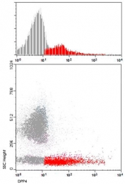 MAB4975 - CD26 / DPP4