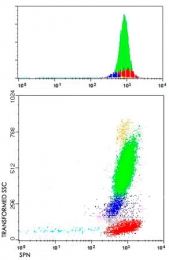 MAB4980 - CD43 / Leukosialin