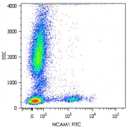 MAB5003 - CD56