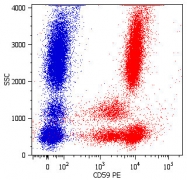 MAB5011 - CD59