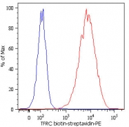 MAB5014 - CD71 / TFRC