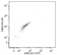 MAB5056 - HLA class I alpha G / HLA-G