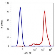 MAB5073 - CD42b / GPIbA